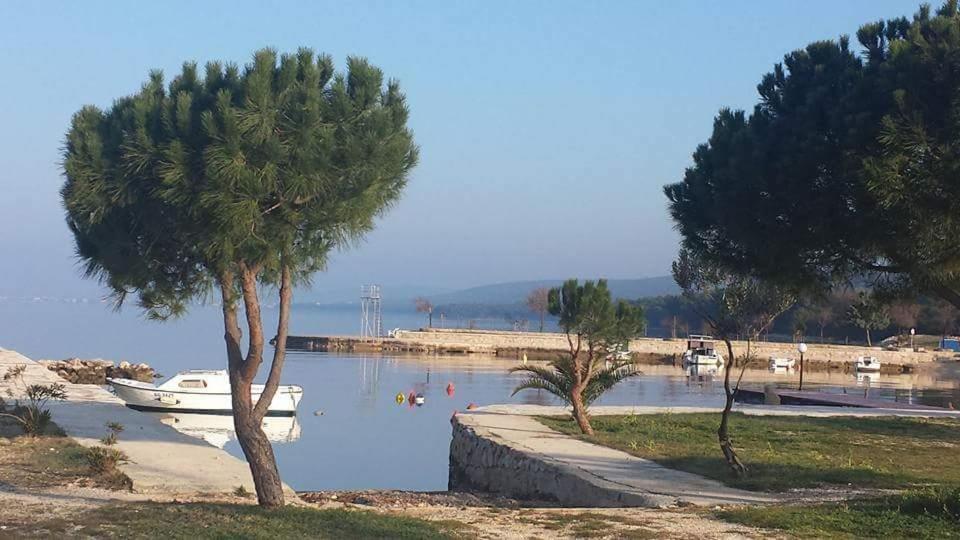 Villa Hana Sveti Petar  Εξωτερικό φωτογραφία